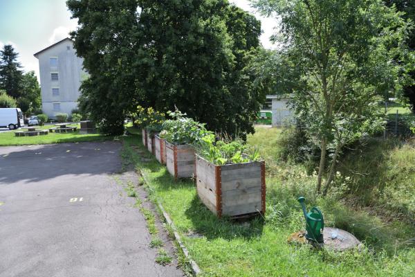 Sommer 2022